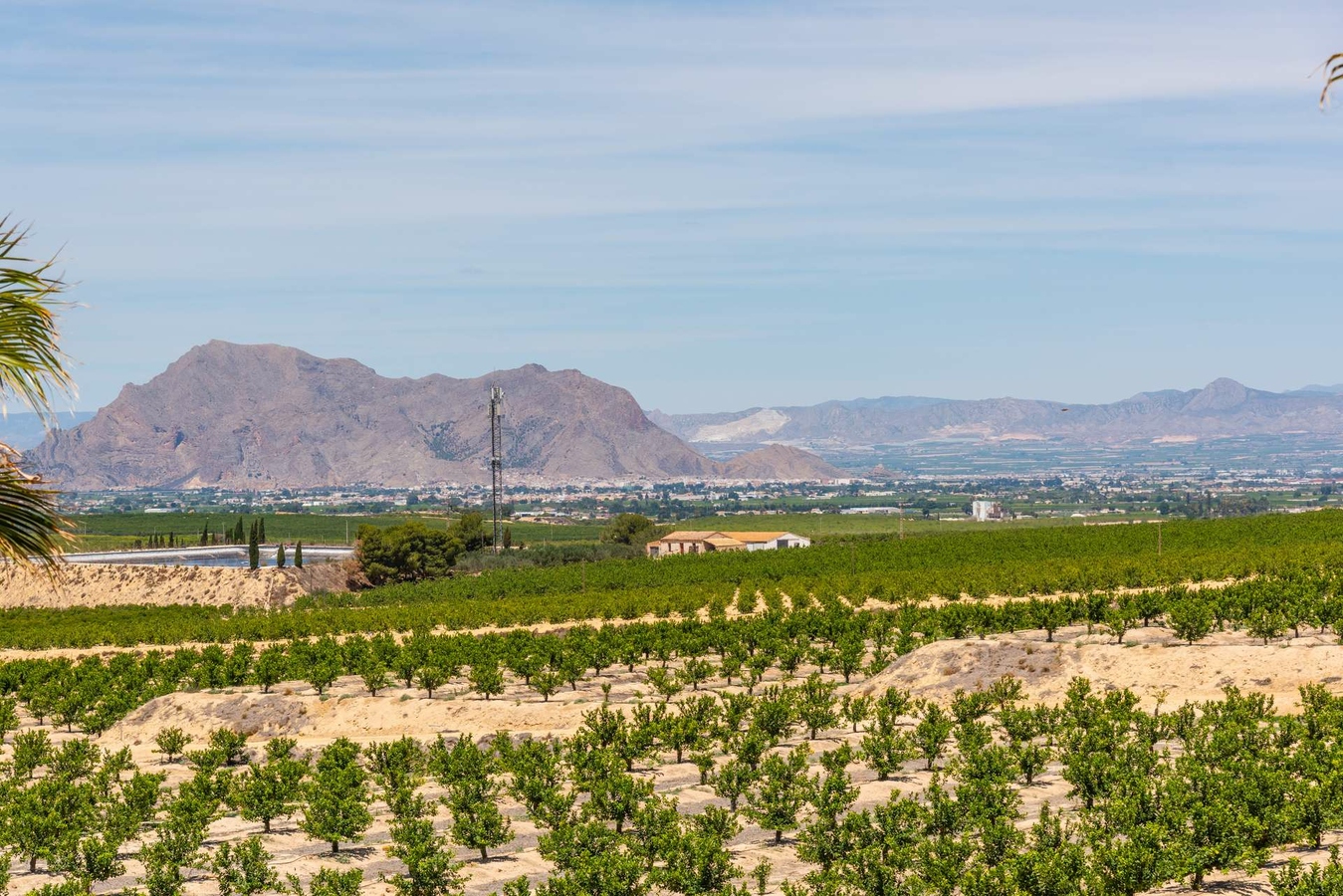 Oasis Villas Sea Model 51