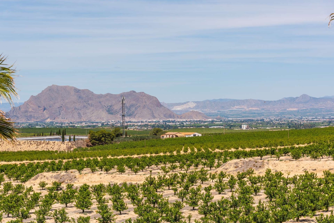 Oasis Villas Sea Model 51